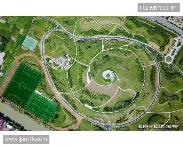 成都乒乓球队的转型之路探索城市联赛新机遇与挑战